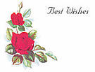 Best Wishes