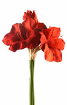 Silk Flowers Amaryllis Red